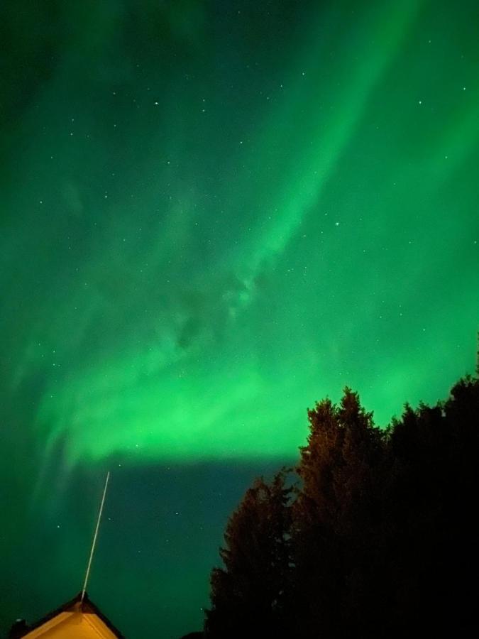 Lyngen, Mackay Appartment, Lyngen Lyngseidet Luaran gambar