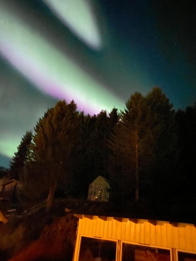 Lyngen, Mackay Appartment, Lyngen Lyngseidet Luaran gambar